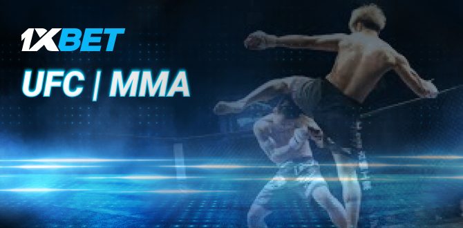 Features of betting on UFC